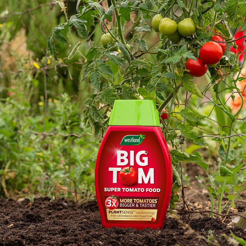 Westland Big Tom Super Tomato Food 1L