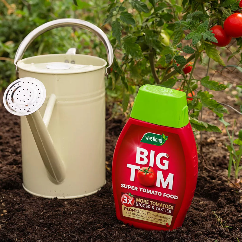 Westland Big Tom Super Tomato Food 1L