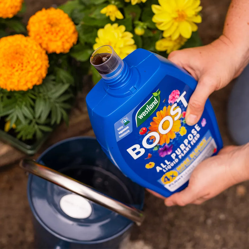 Westland Boost All Purpose Liquid Plant Feed 1L