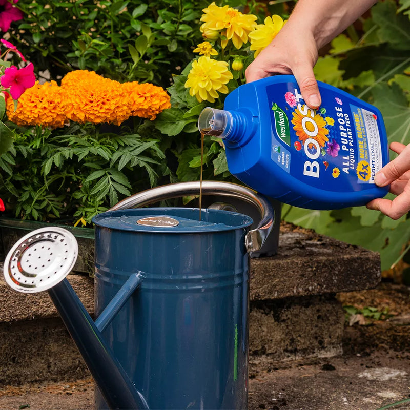 Westland Boost All Purpose Liquid Plant Feed 1L