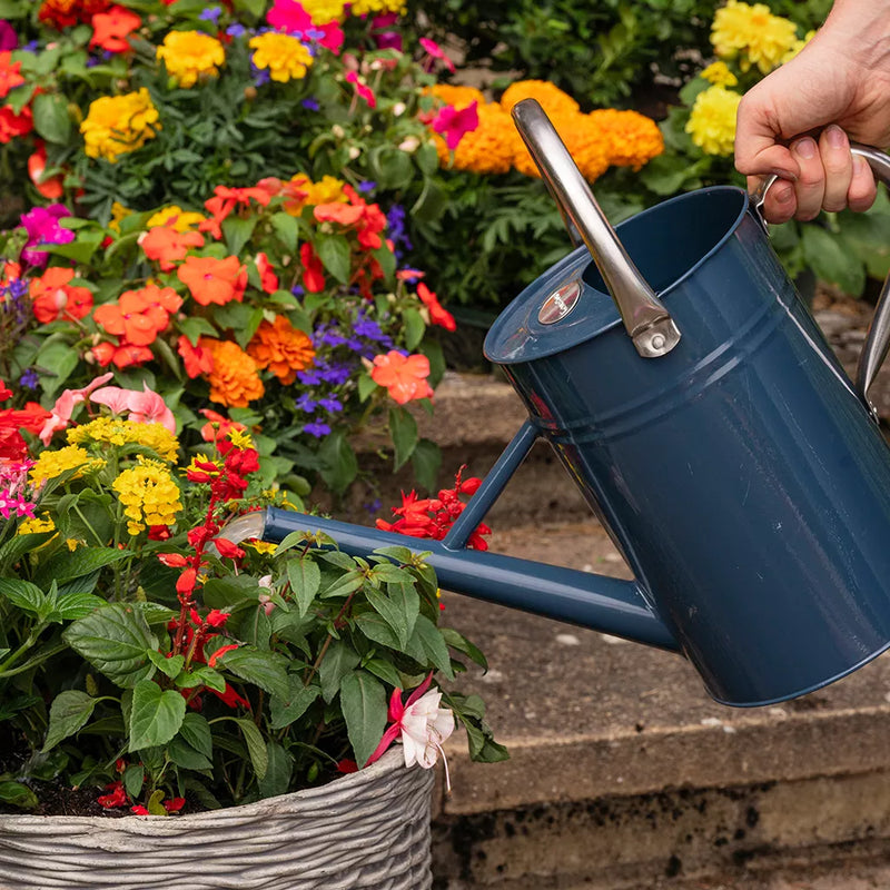 Westland Boost All Purpose Liquid Plant Feed 1L