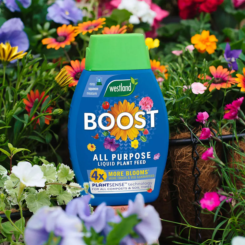Westland Boost All Purpose Liquid Plant Feed 1L