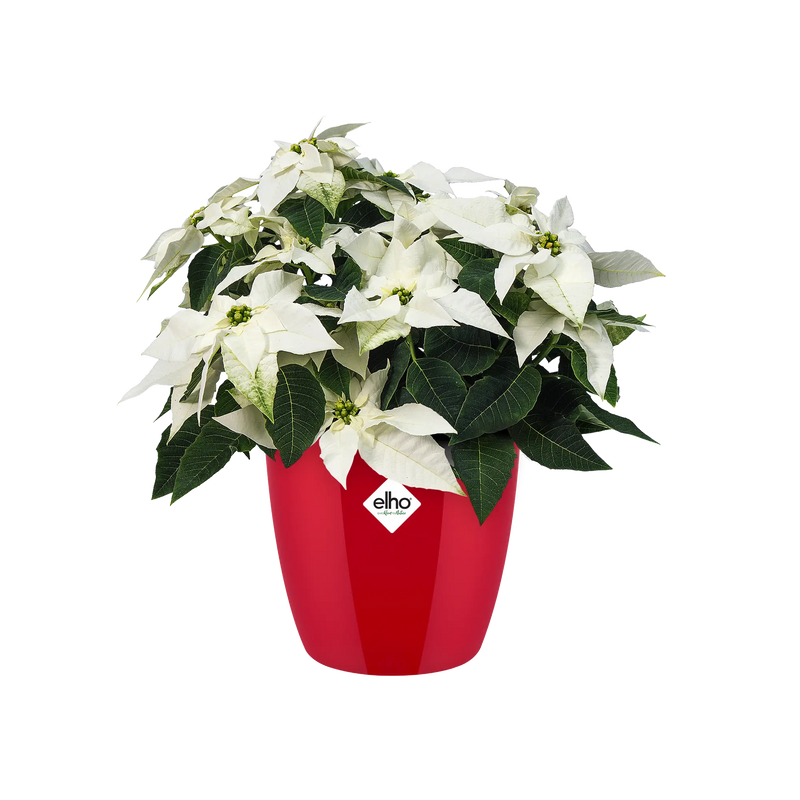 Elho Brussels Diamond Round Red 18cm