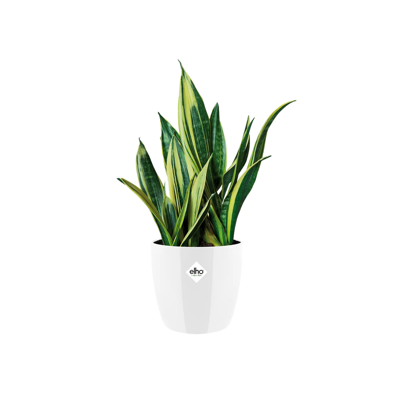 Elho Brussels Diamond Round White 16cm