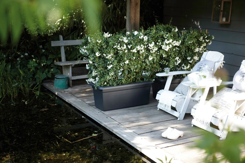 Elho Green Basics XXL Trough 80cm Living Black