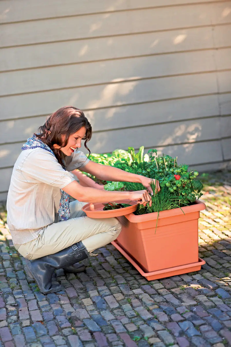 Elho Green Basics Garden xxl 60cm Mild Terracotta colour