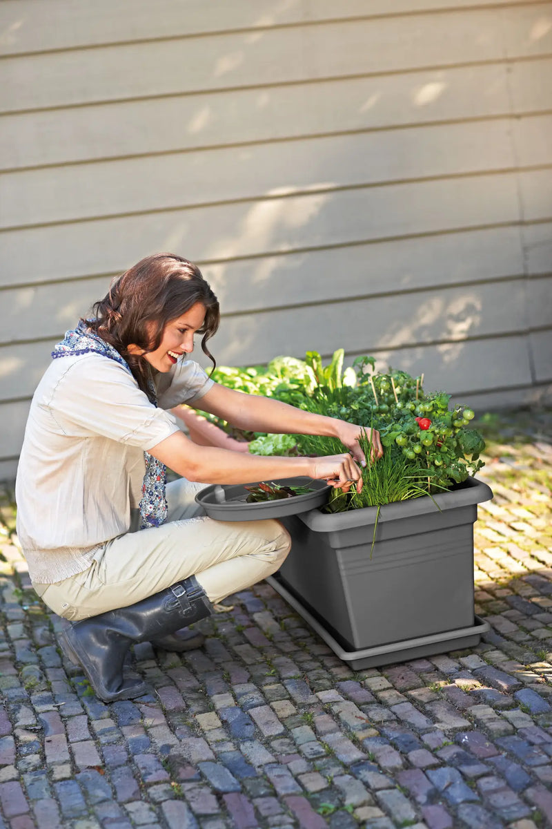 Elho Green Basics XXL Trough 80cm Living Black