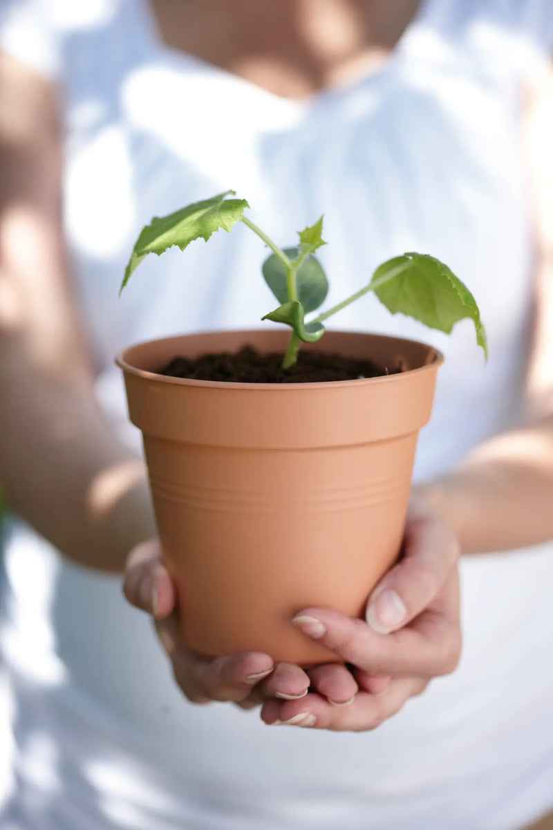 Elho Green Basics Growpot 35cm Mild Terracotta Colour