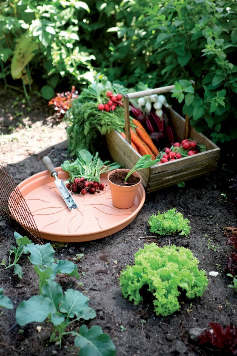 Elho Green Basics Saucer 14cm Mild Terracotta Colour