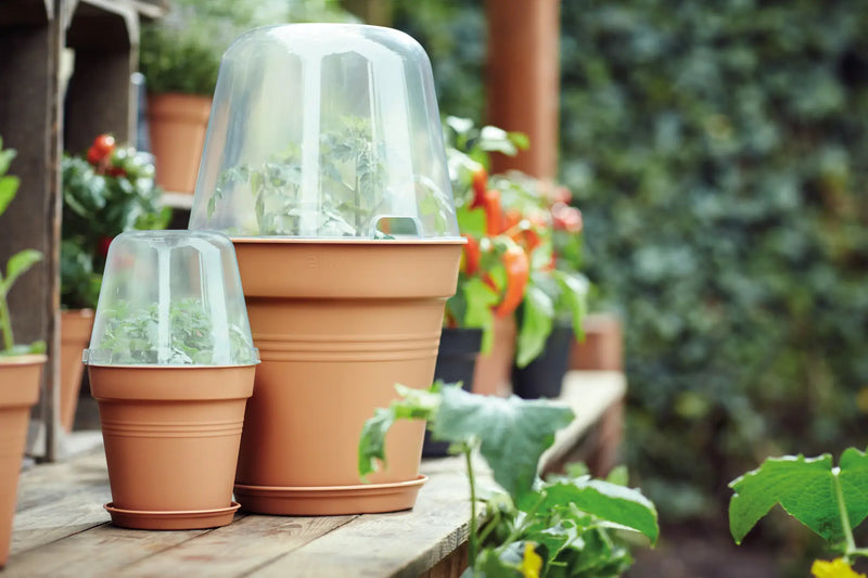 Elho Green Basics Saucer 25cm Mild Terracotta Colour