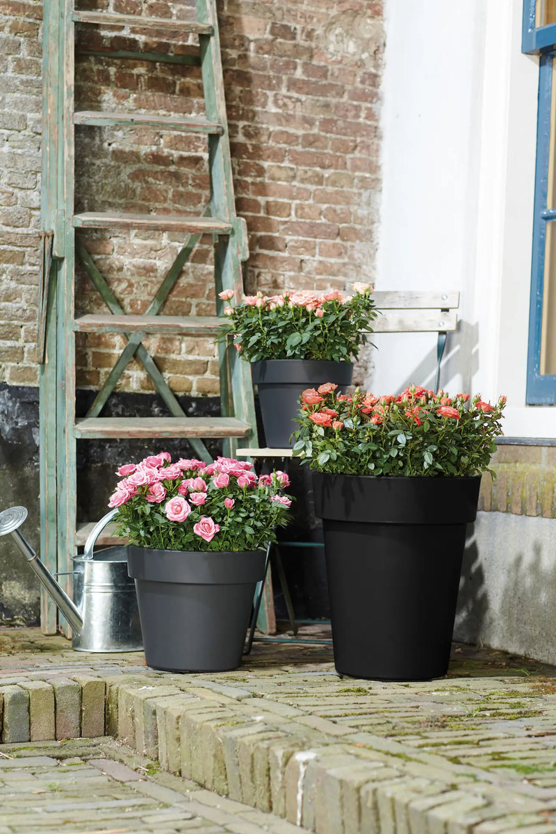 Elho Green Basics Top Planter High 35cm Living Black