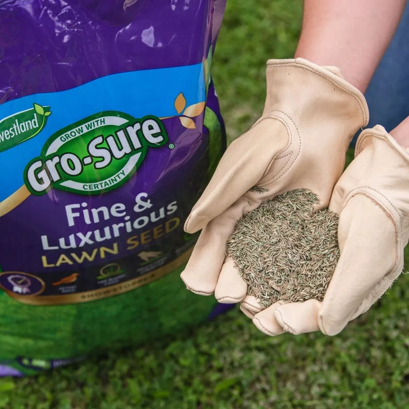 Westland Gro-Sure Fine & Luxurious Lawn Seed 100m2