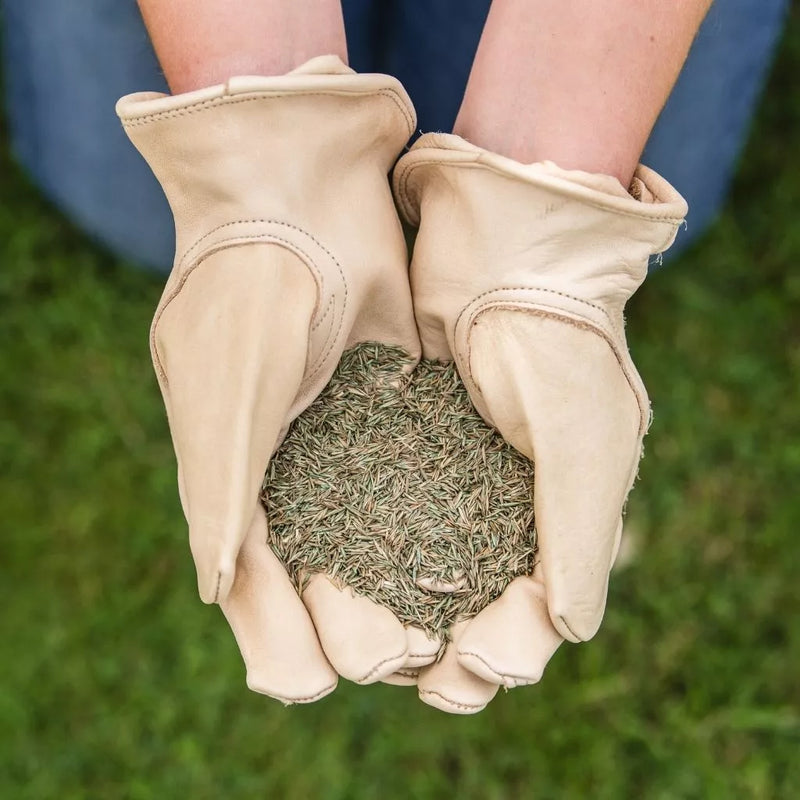 Westland Gro-Sure Fine & Luxurious Lawn Seed 100m2