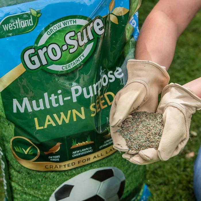 Westland Gro-Sure Multi Purpose Lawn Seed Box 10sqm + 30% Extra Free