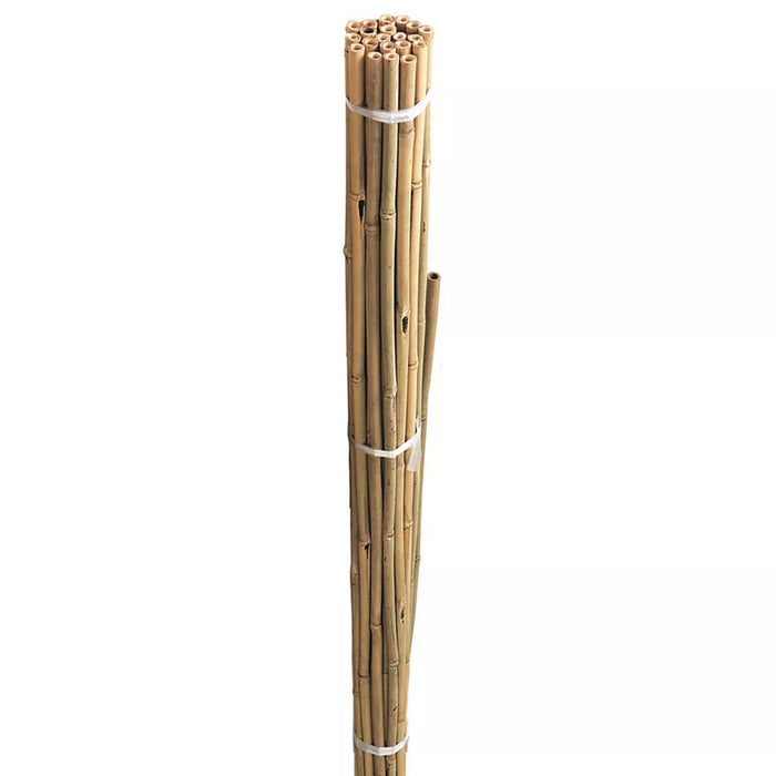 Grow It Bamboo Canes Bulk Bundle 240cm