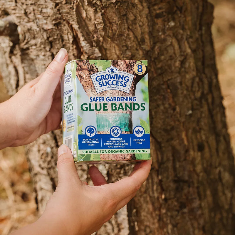 Growing Success Glue Band Traps 1.75m