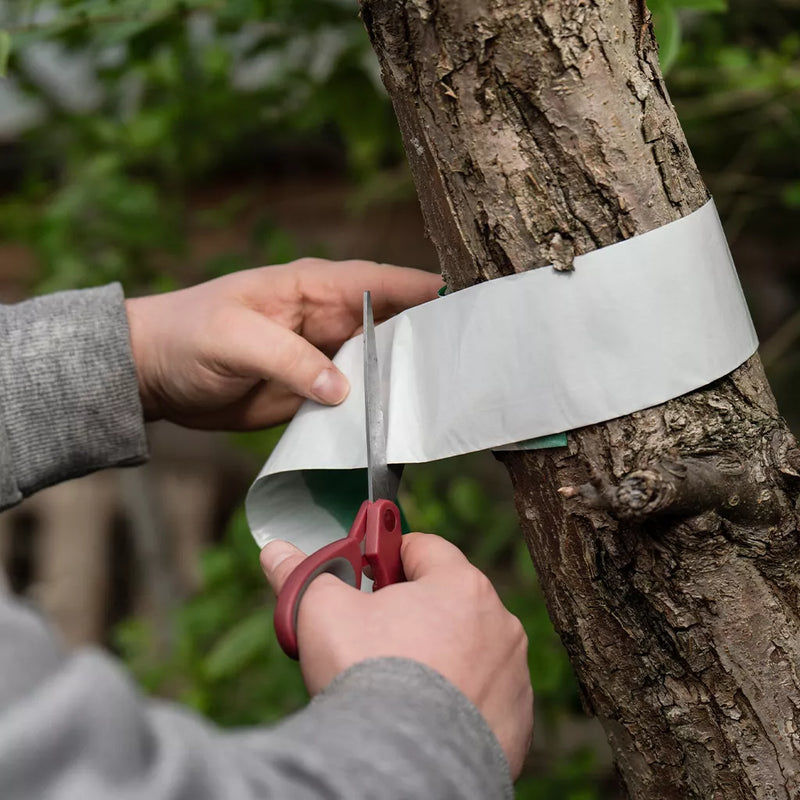 Growing Success Glue Band Traps 1.75m