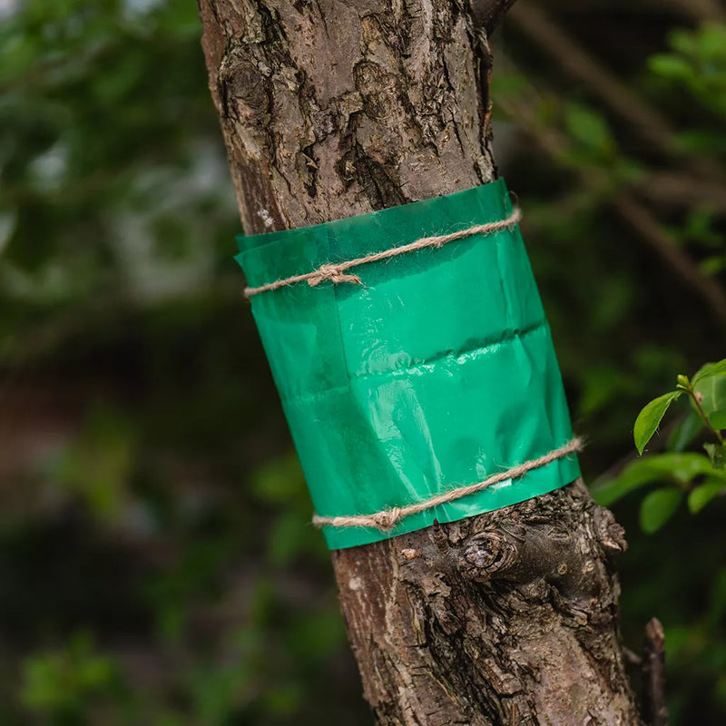 Growing Success Glue Band Traps 1.75m