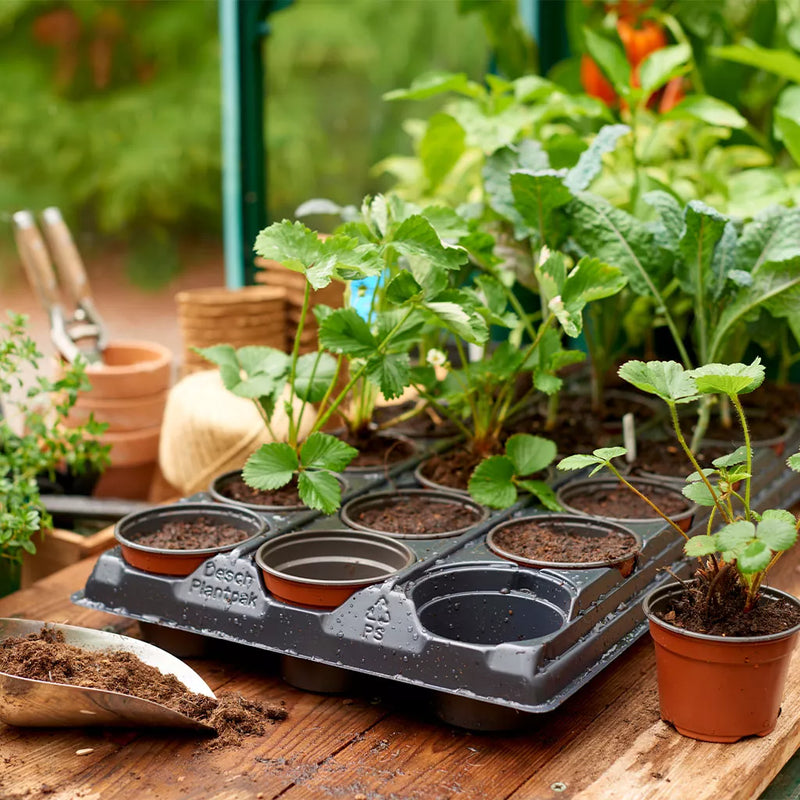 Gro-Sure Growing Tray with 18 Round Pots