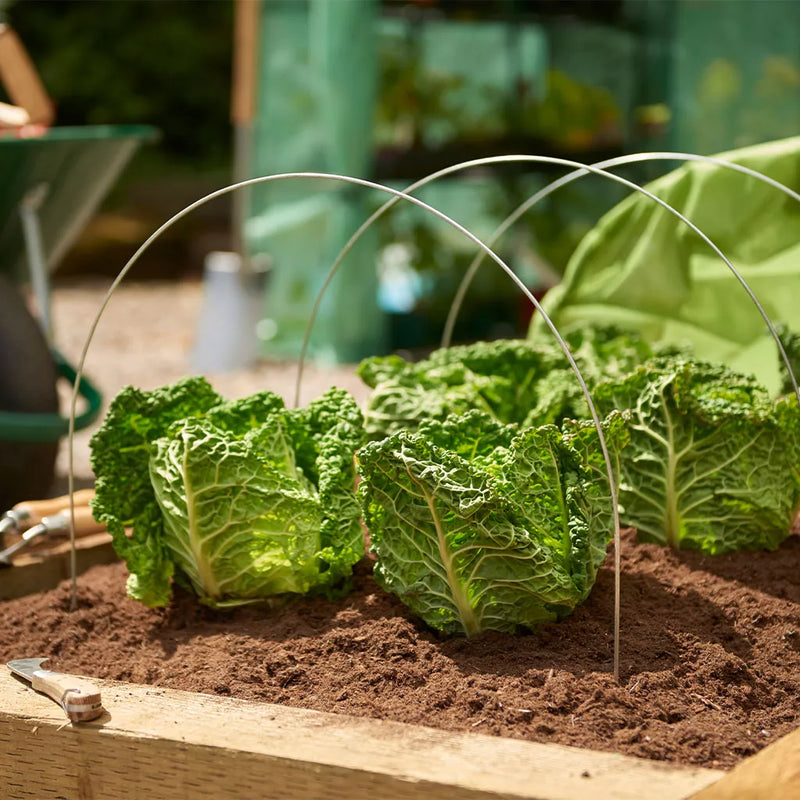 Grow It Grow Tunnel Hoops 3pk