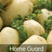 Home Guard Seed Potatoes 2kg - First Early