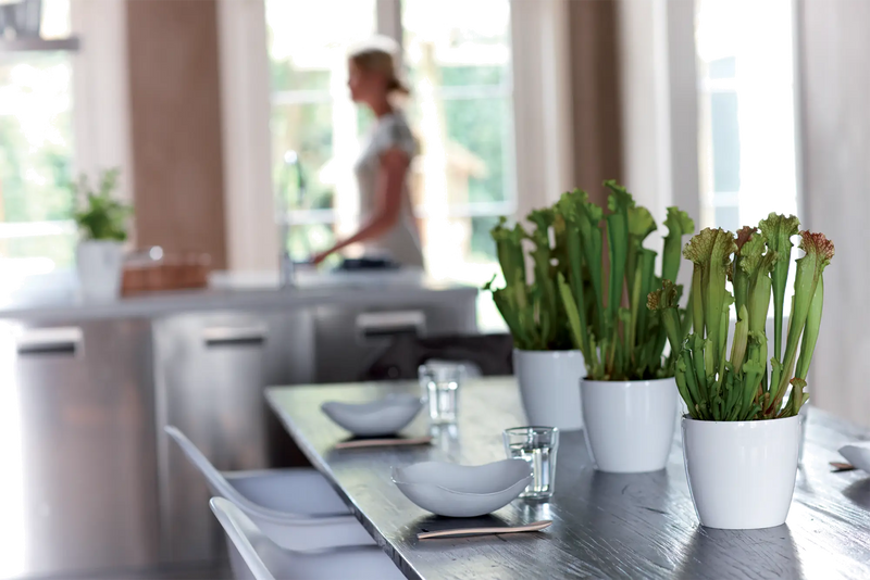 Elho Brussels Diamond Round White 16cm