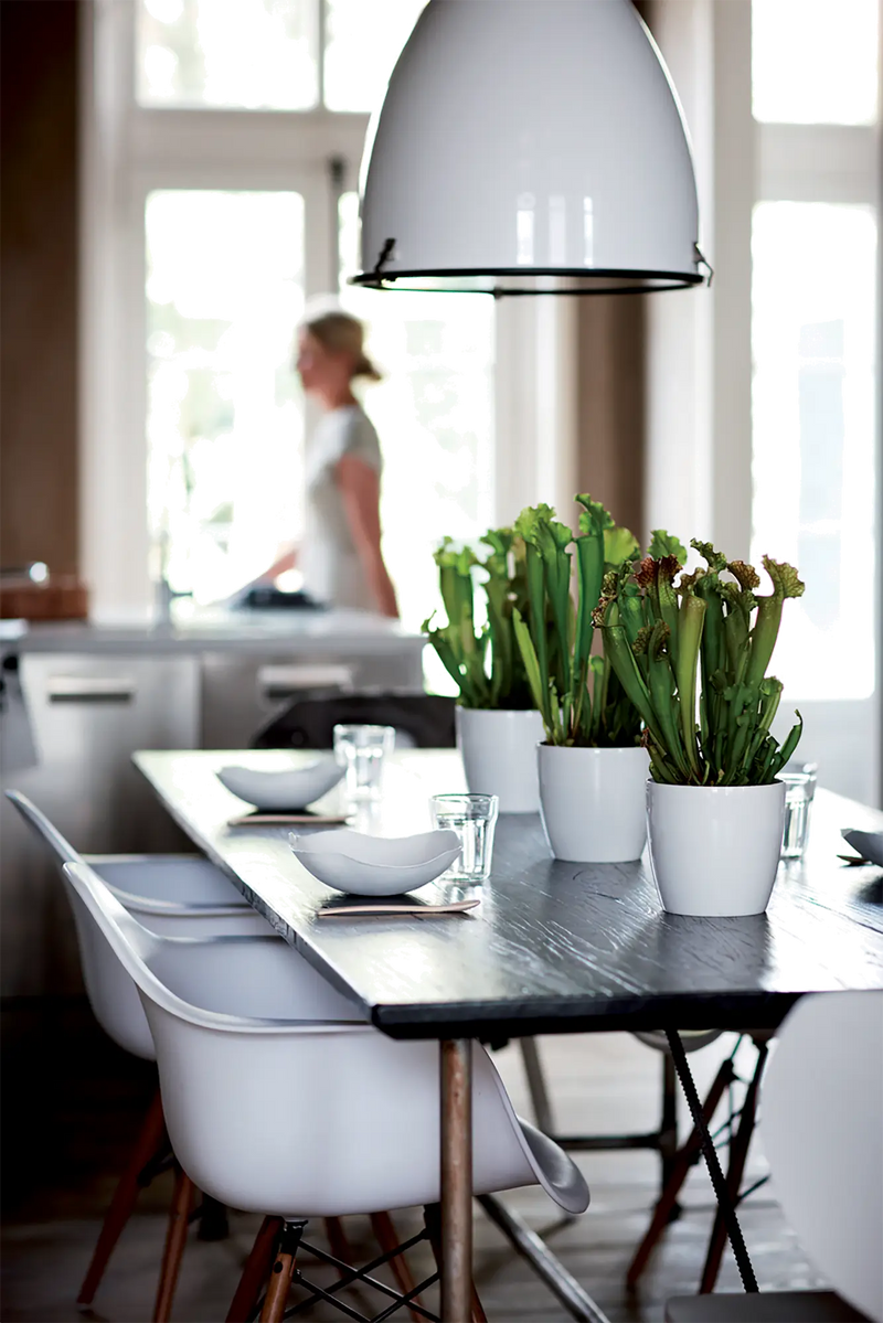 Elho Brussels Diamond Round White 16cm