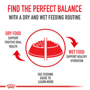 Royal Canin Cocker Spaniel Puppy Dry Dog Food 3kg - product image 5