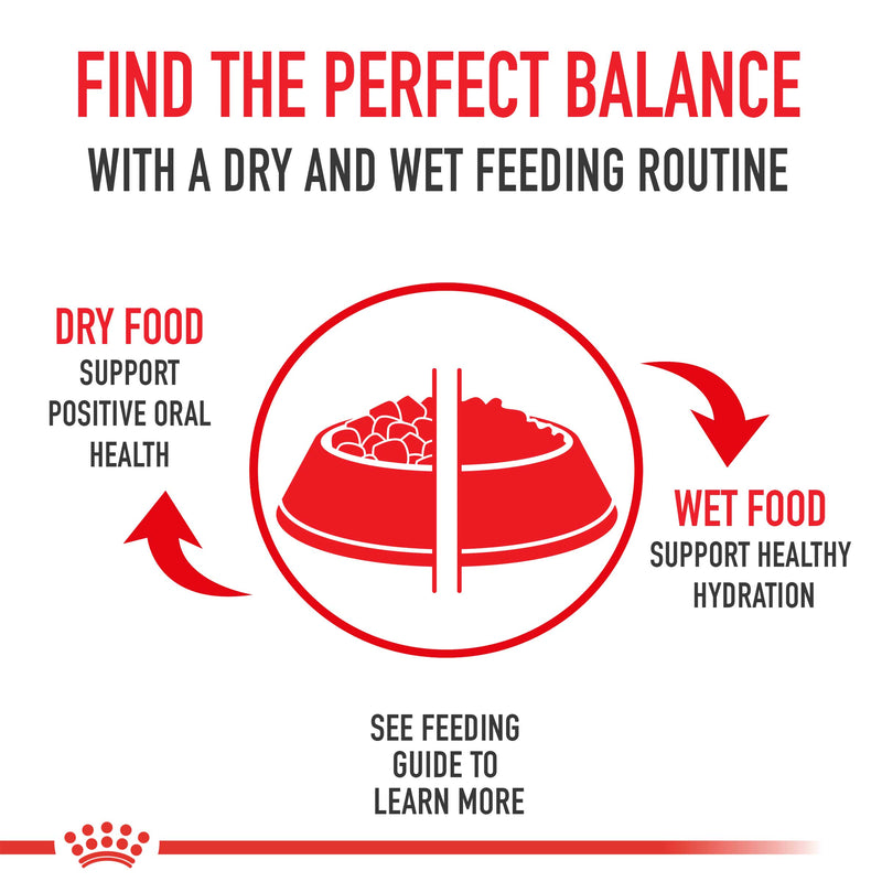 Royal Canin Cocker Spaniel Puppy Dry Dog Food 3kg - product image 5