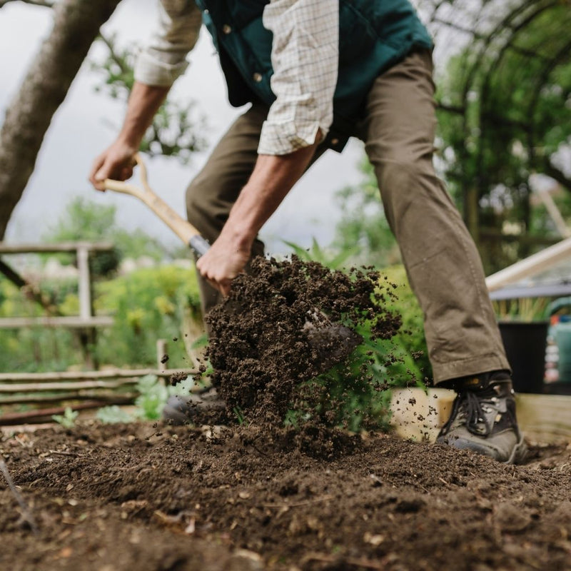 Kent and Stowe Carbon Steel Border Spaden