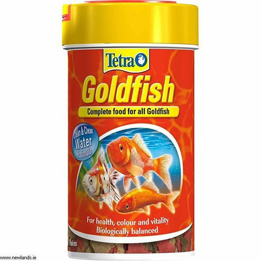 Tetrafin Goldfish Flake Food 52g