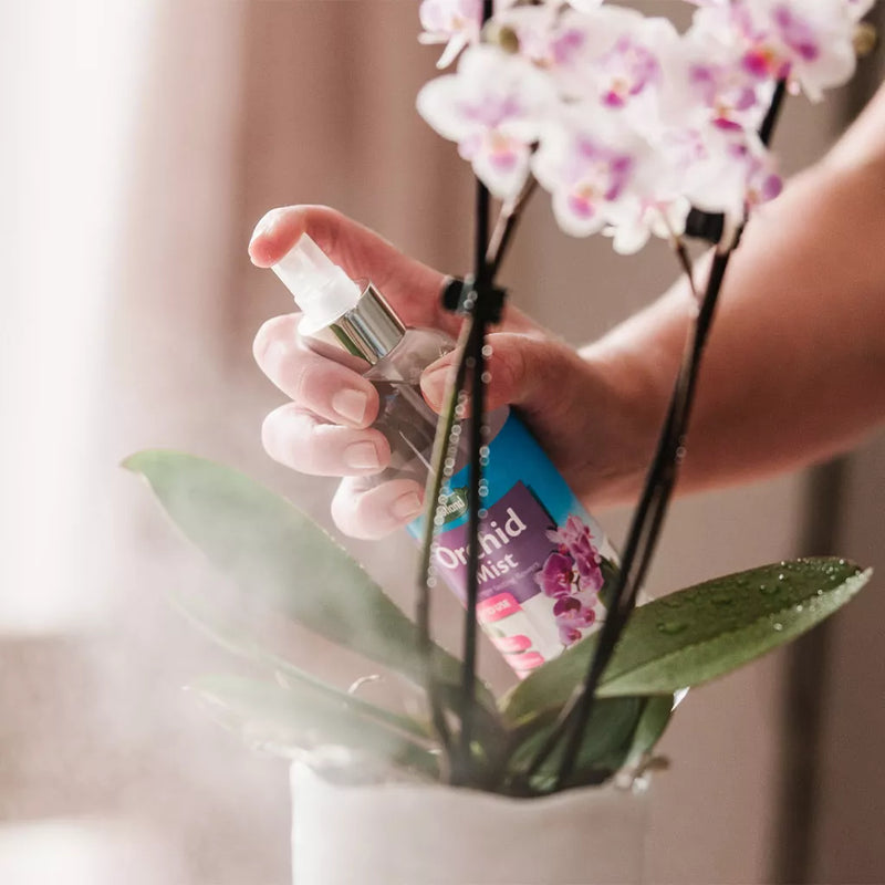 Westland Orchid Mist 250ml