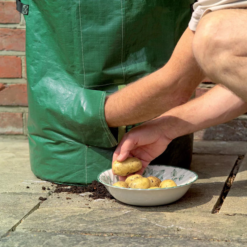 Grow It Potato Planter Bag 2pk
