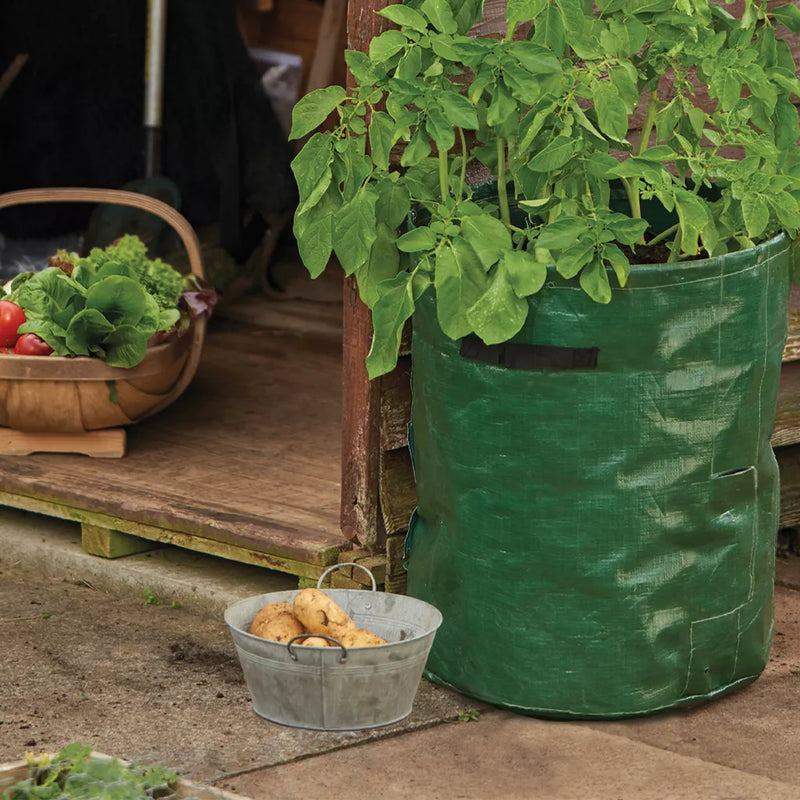 Grow It Potato Planter Bag 2pk