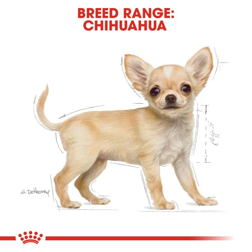Royal Canin Chihuahua Puppy Dry Dog Food 1.5kg - product image 5