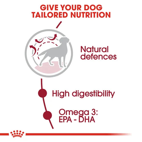 Royal Canin Medium Adult Dog Food 15kg