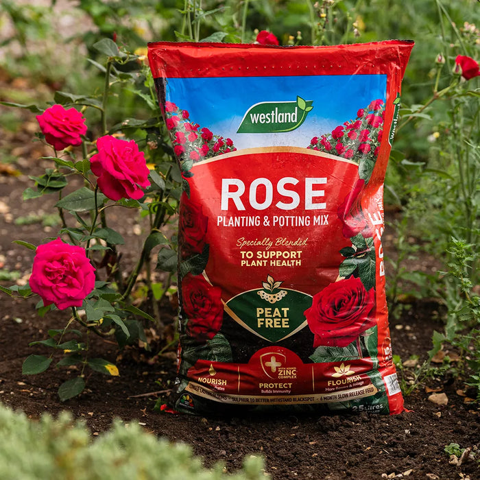 Westland Rose Planting & Pot Mix Peat Free 50L