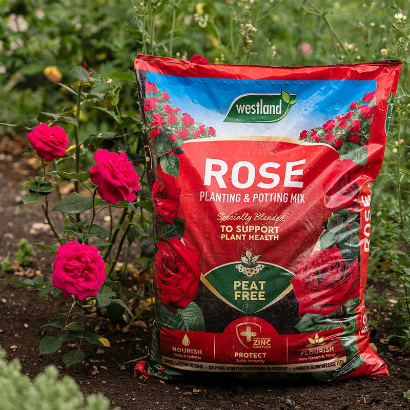 westland potting mix Westland Rose Planting & Pot Mix Peat Free 50 Litre — Newlands Garden Centre