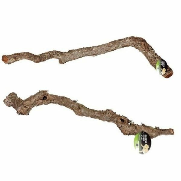 Prorep Cork Oak Branch 80-100cm