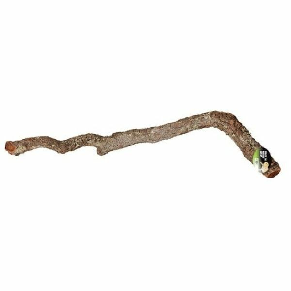 Prorep Cork Oak Branch 80-100cm