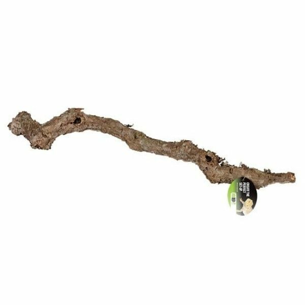 Prorep Cork Oak Branch 80-100cm
