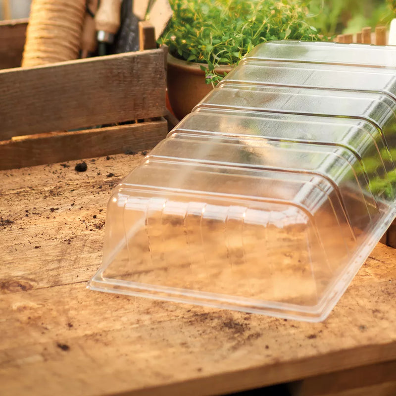 Westland Standard Seed Tray Lid