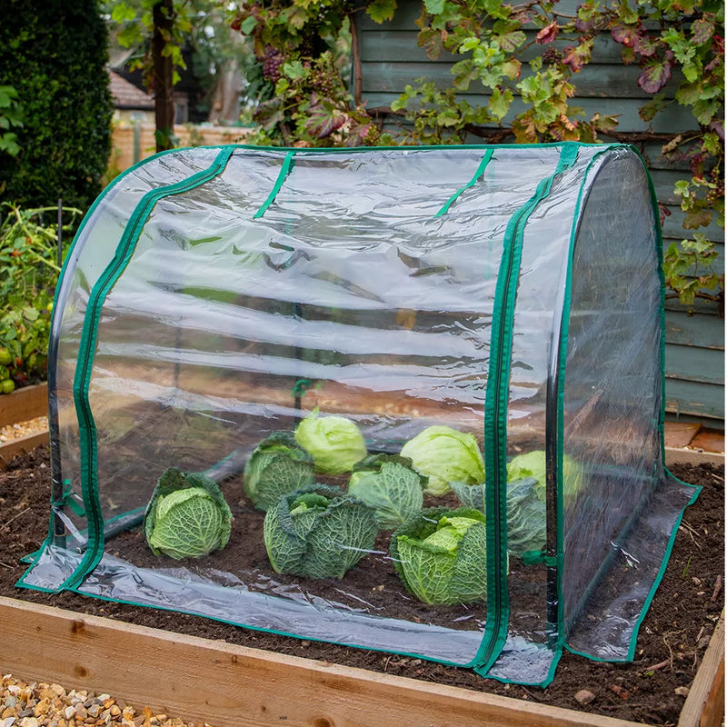 Grow It Medium Seedling Cloche 90x92x72cm