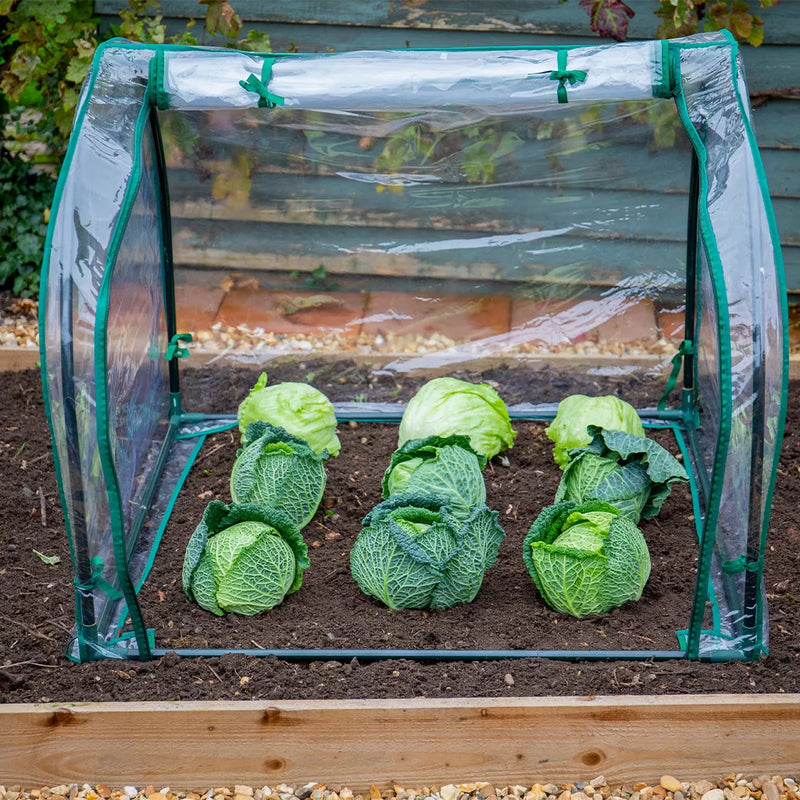 Grow It Medium Seedling Cloche 90x92x72cm
