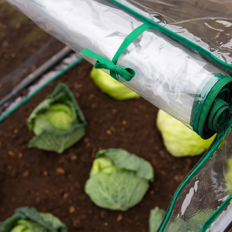 Grow It Medium Seedling Cloche 90x92x72cm