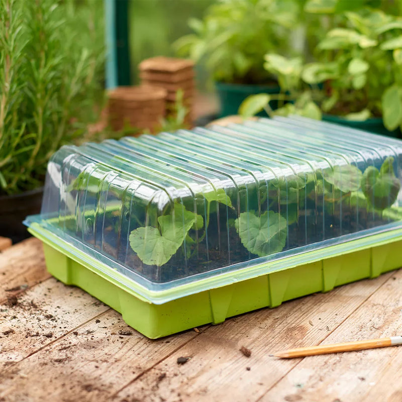 Westland Standard Seed Tray Lid