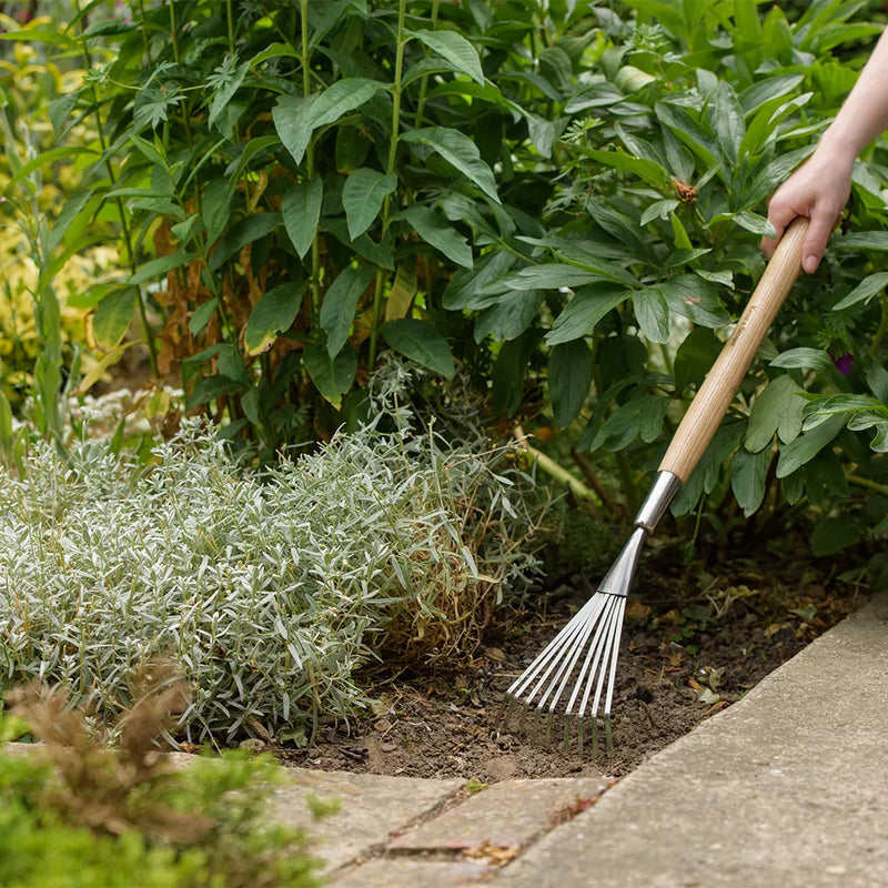 Kent & Stowe Stainless Steel Border Hand Shrub Rake