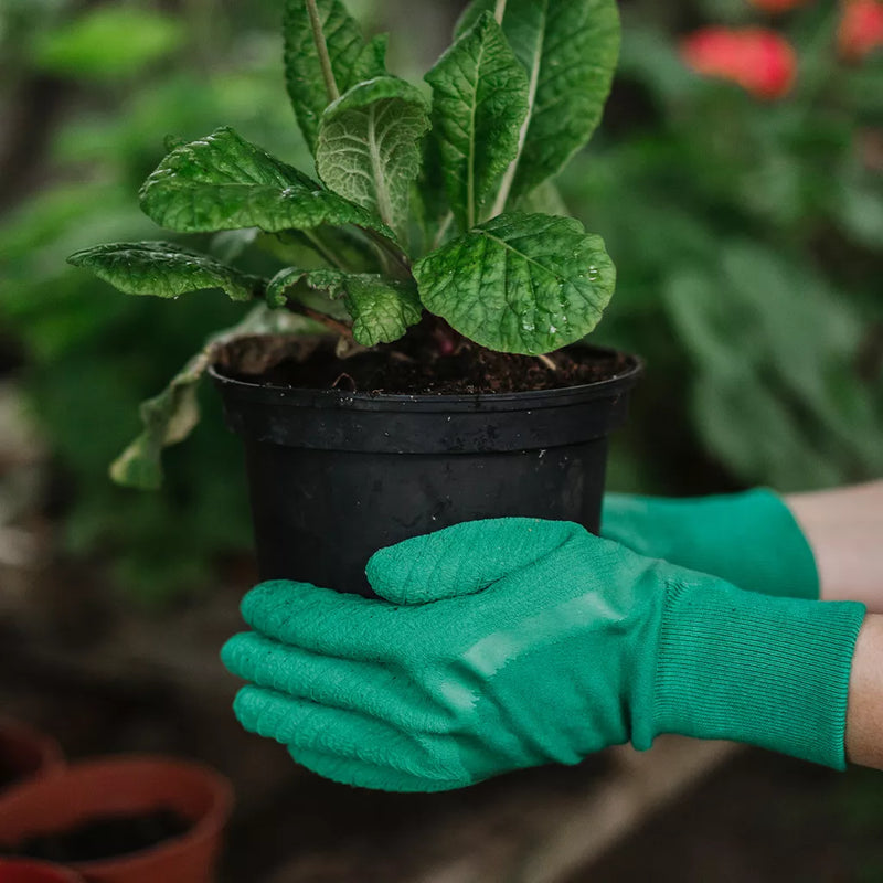 Kent and Stowe Ultimate All Round Gloves Green Medium