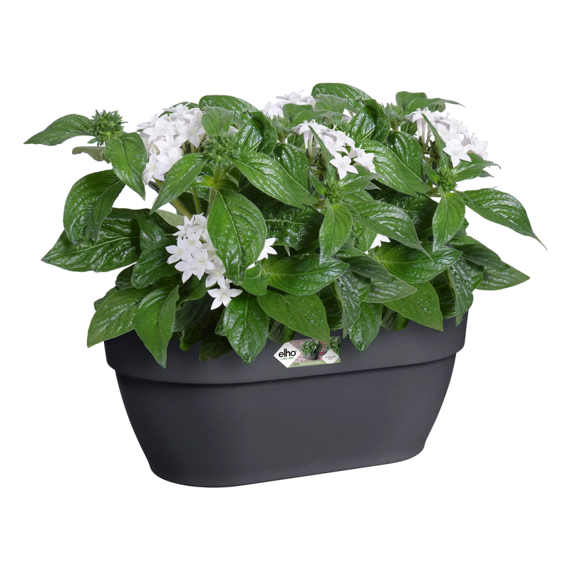 Elho Vibia Campana Wall Basket 35cm Anthracite