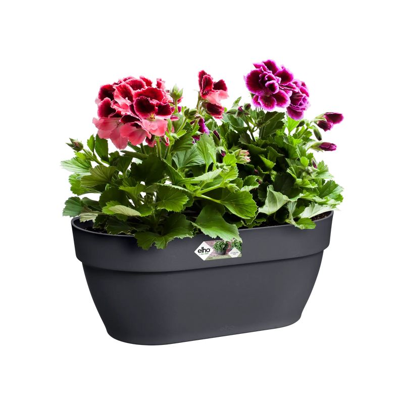 Elho Vibia Campana Wall Basket 35cm Anthracite